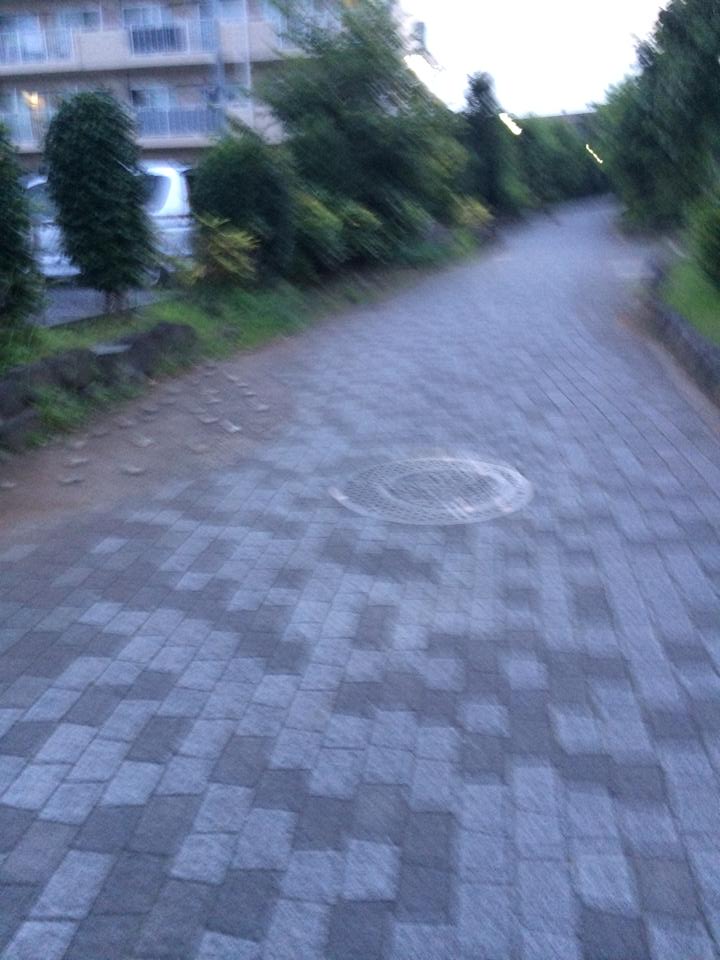 遊歩道